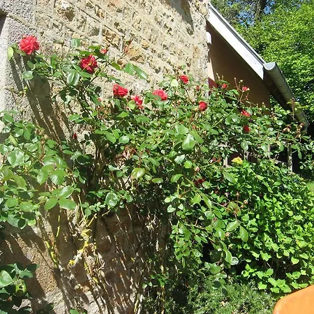Guest house Gites Ruraux Et Maison D'hotes Saint Michel